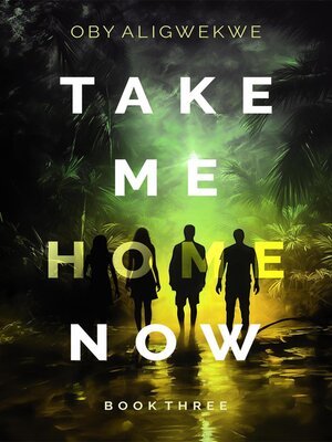 cover image of Take Me Home Now 3